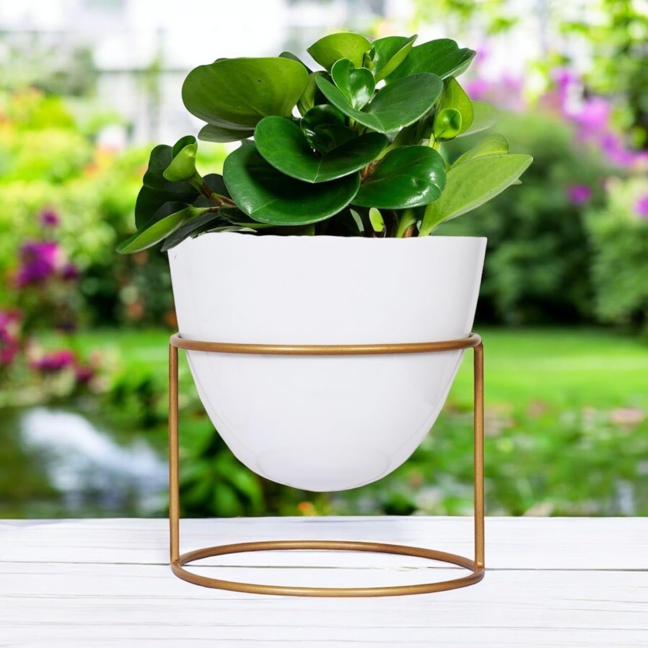 See full amazon price history chart for ecofynd 6 inches Alle Metal Plant Pot with Stand, Pack of 1 | White Flower Indoor Planter | Living Room Outdoor Garden | Office Desk Pot with Gold Metal Stand for Herbs Orchids Cacti Succulents ecofynd 6 inches Alle Metal Plant Pot with Stand, Pack of 1 | White Flower Indoor Planter | Living Room Outdoor Garden | Office Desk Pot with Gold Metal Stand for Herbs Orchids Cacti Succulents (B09FS29YCZ) Amazon Price History, Amazon Price Tracker