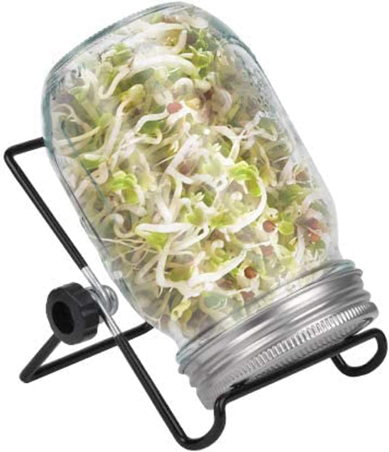 – Sprouting Jar Kit, Wide Mouth Quart Mason Jars with Screen Sprout Lids & Stand, Seeds Germination Growing Kit, Seed Sprouter Set for Growing Organic Broccoli Alfalfa Mung Microgreens Bean (1Pack)