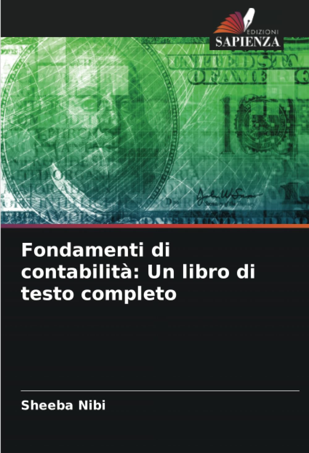 Fondamenti di contabilità: Un libro di testo completo