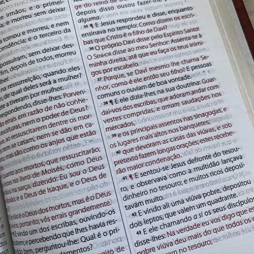 Bkj 1611 com Concordância Standard - Preta