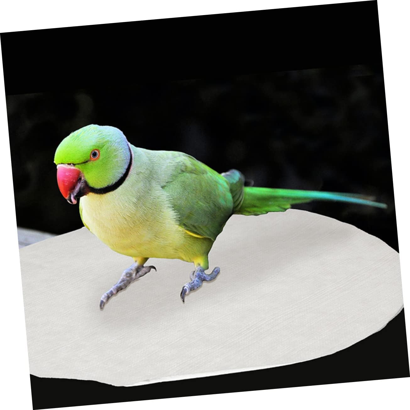 Abaodam 100pcs Bird Cage Liners Water Absorbent Pads for Parrots Cushion Mats for Clean and Healthy Birdcages for Parakeets Cockatiels and Conures