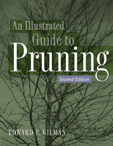 Illustrated Guide to Pruning view 2