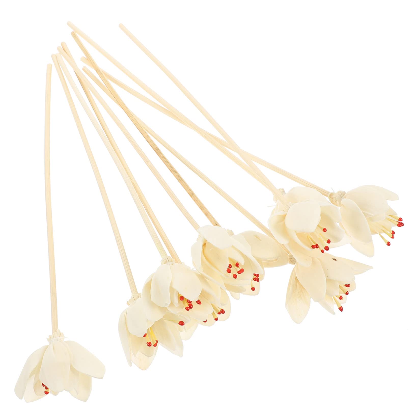Cabilock 50 Stück Aromatherapie-Rattan Parfümdiffusor mit künstlichen Blumen künstliche Rosenblüte getrocknet Luft Schilf wohnungseinrichtung wohnungsdeko Aroma-Sticks Diffusorstab