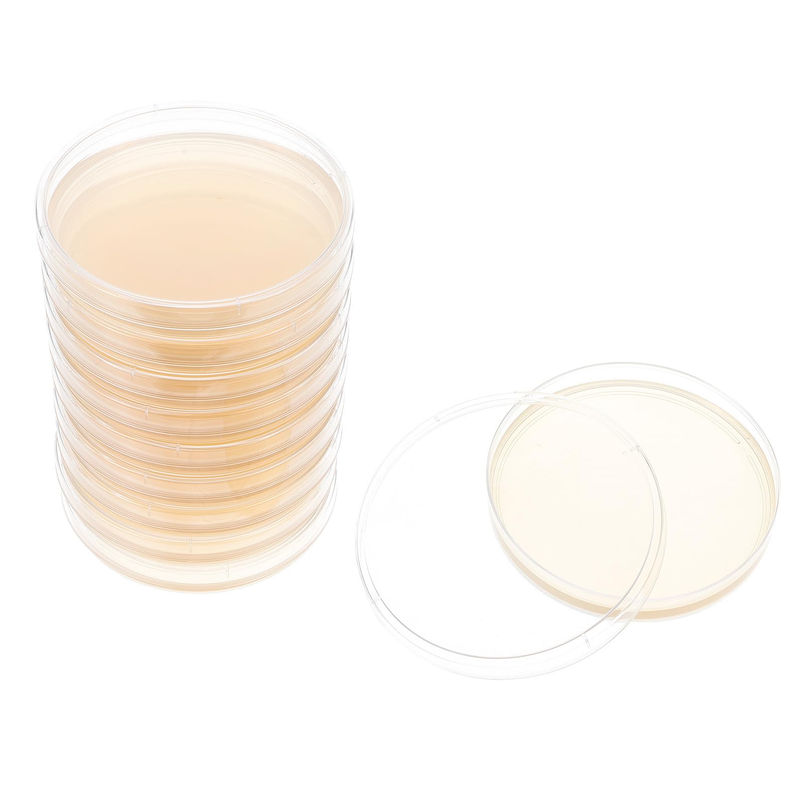 20 Stück Sterile Nähragar Petrischalen 9cm, Klar