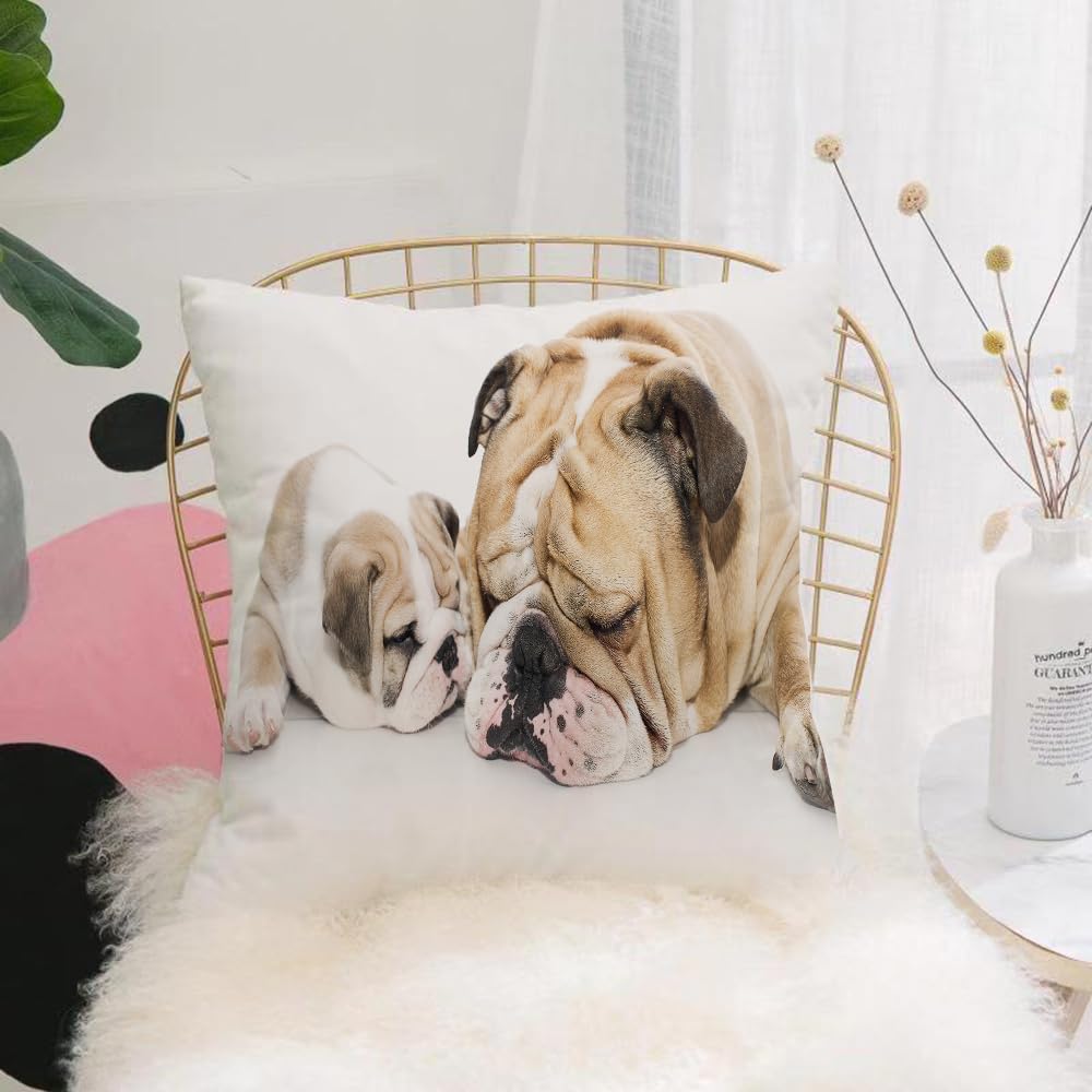 HYOSXW Cushion Cover,Throw Pillow Case Home Decorative for Living Room Bedroom Sofa Chair 16X16 Inch,animal，Beautiful english bulldog puppy with its father,Pillowcase 40X40cm
