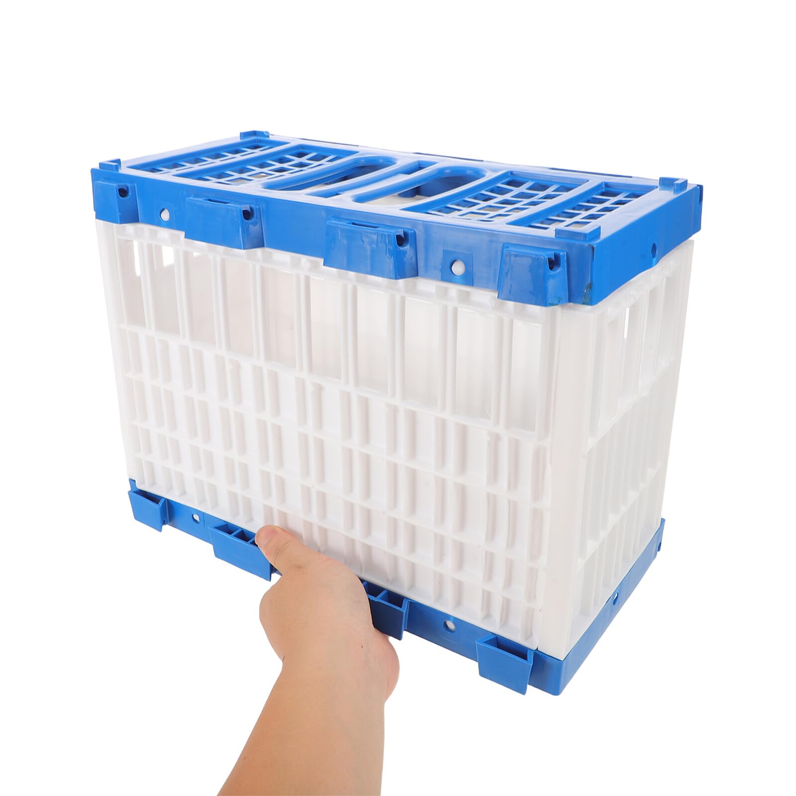 Abaodam Jaula Portátil para Palomas de Carreras Puerta Lateral Abatible Cesta de Plástico Ligera 32X165X245 CM para Entrenamiento Transporte y Liberación Segura Exteriores