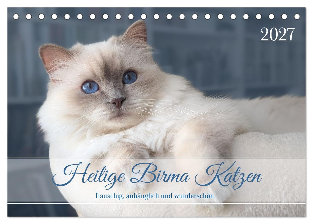 Kalender 2027 · Heilige Birma Katzen - flauschig, anhänglich und | wunderschön · Aufnahmen wunderschöner Heilige Birma Katzen · DIN A5 quer · CALVENDO Tischkalender