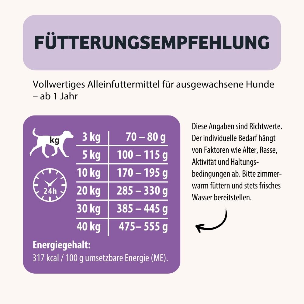 BugBell 800g BellyVital - Premium Trockenfutter mit Insekten - Fettreduziertes Trockenfutter für Hunde - Verdauung & Darmflora mit Präbiotika - Hundefutter trocken mit Löwenzahn (Packung mit 2)