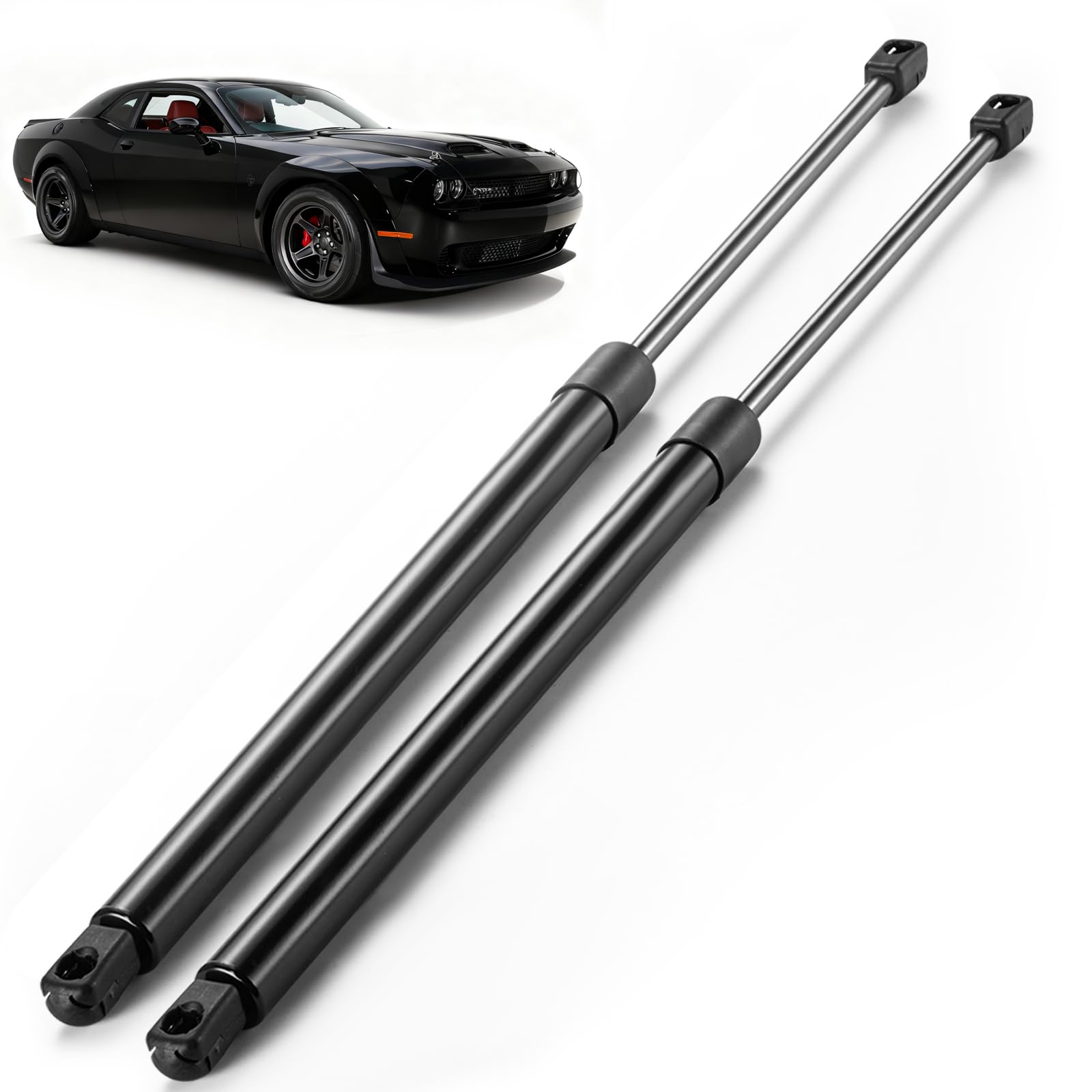 Amazon.com: ARANA Trunk Struts Shocks for Dodge Challenger 2008