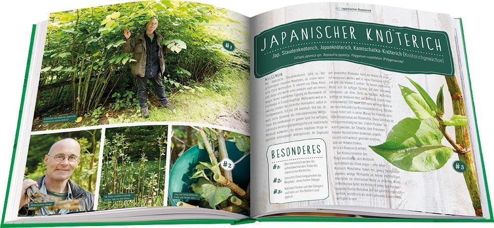 Die Wildkräuter-Werkstatt: Pflanzen aus der Natur sammeln, kochen und nachhaltig genießen