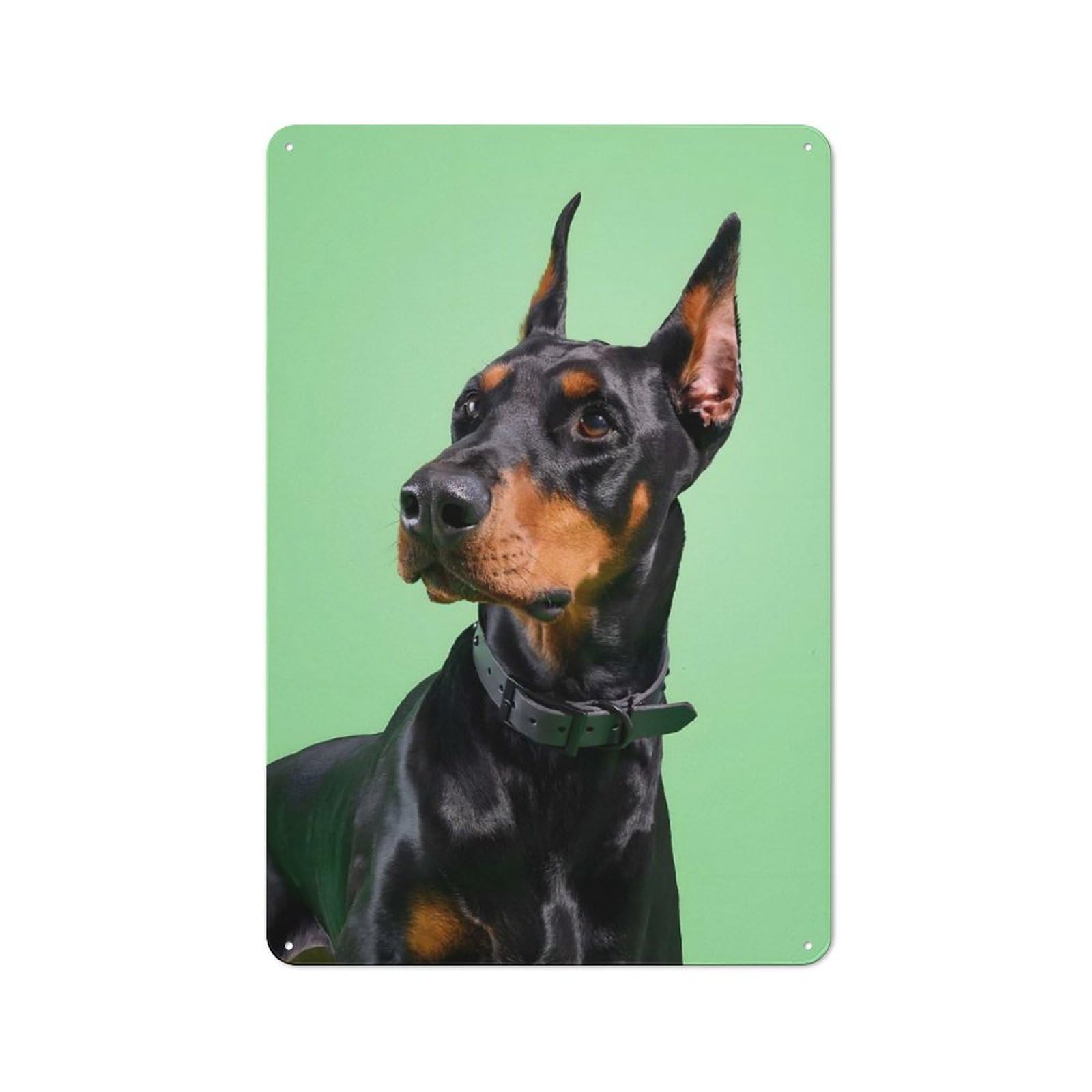 Retro Metal Wall Sign 30x20cm with Doberman Pinscher Portrait for Pub Or Café, for Vintage Wall Decor Fans, for Cafés, Pubs And Restaurants