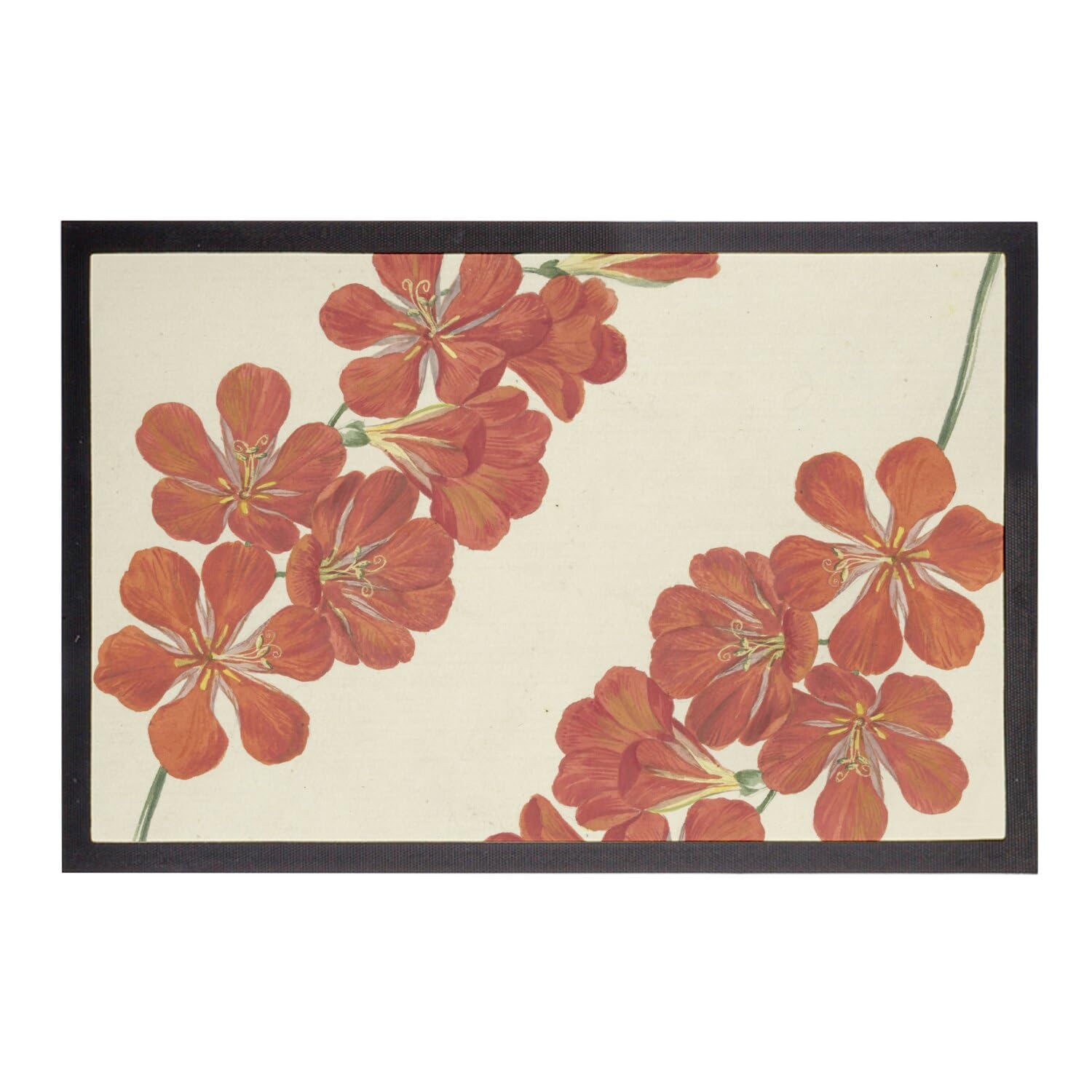 Paillasson fleur botanique ancienne tapis brosse pour entrée nette