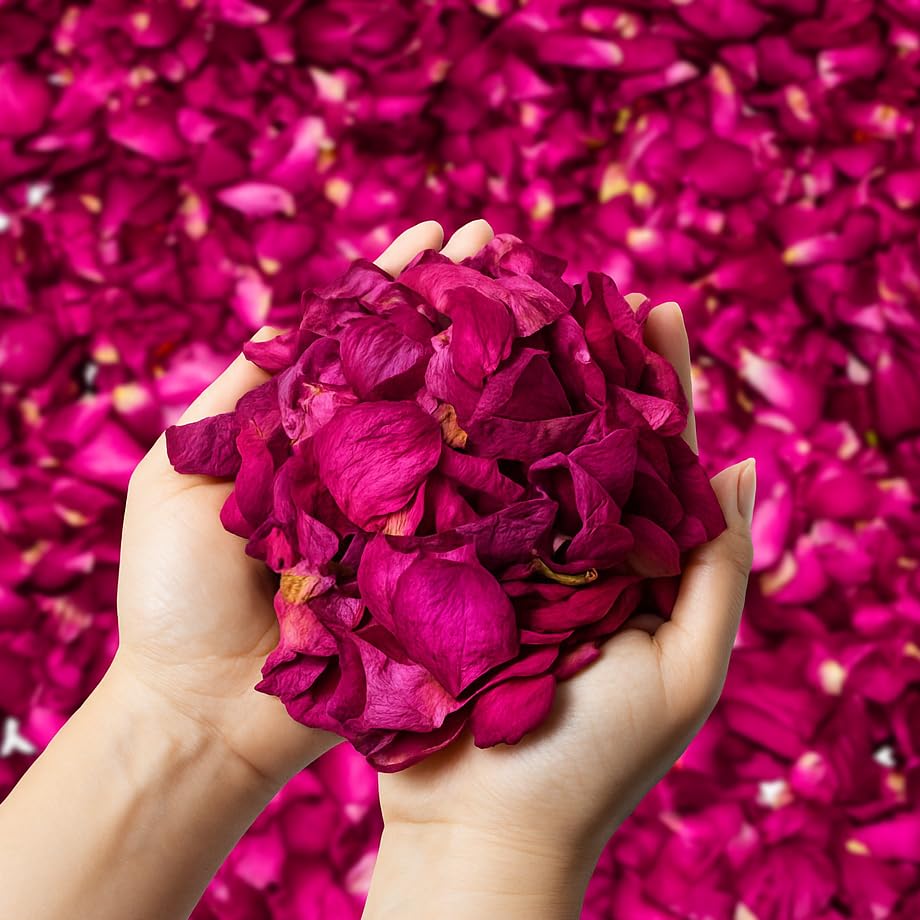 Dried Rose Petals Bulk 5oz Natural Red Flower Petals for Bath Candle Soap Making Wedding Decor Real Rose Petals for Romantic DIY Crafts Confetti Spa Use Valentines Day Gift