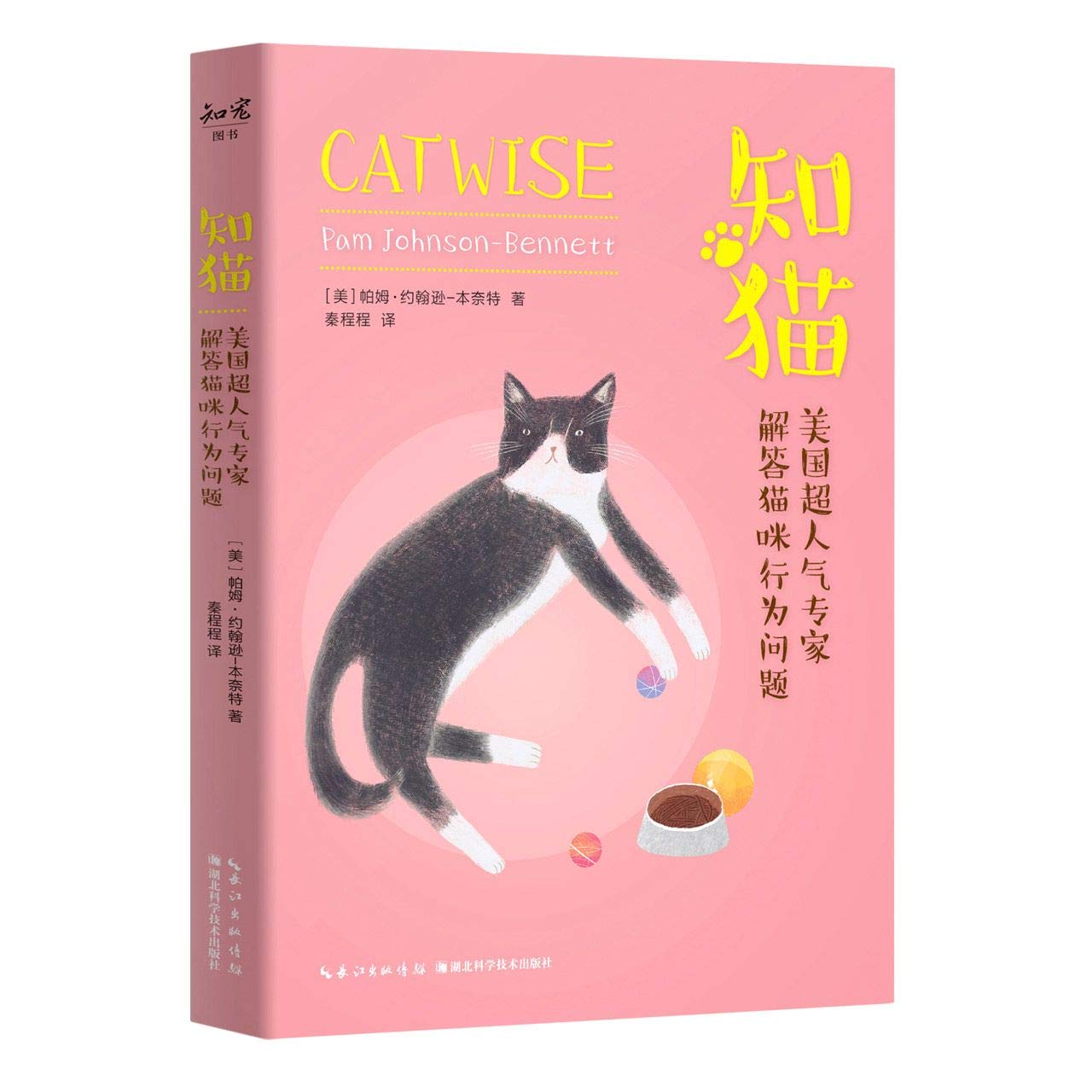CatWise (Chinese Edition)