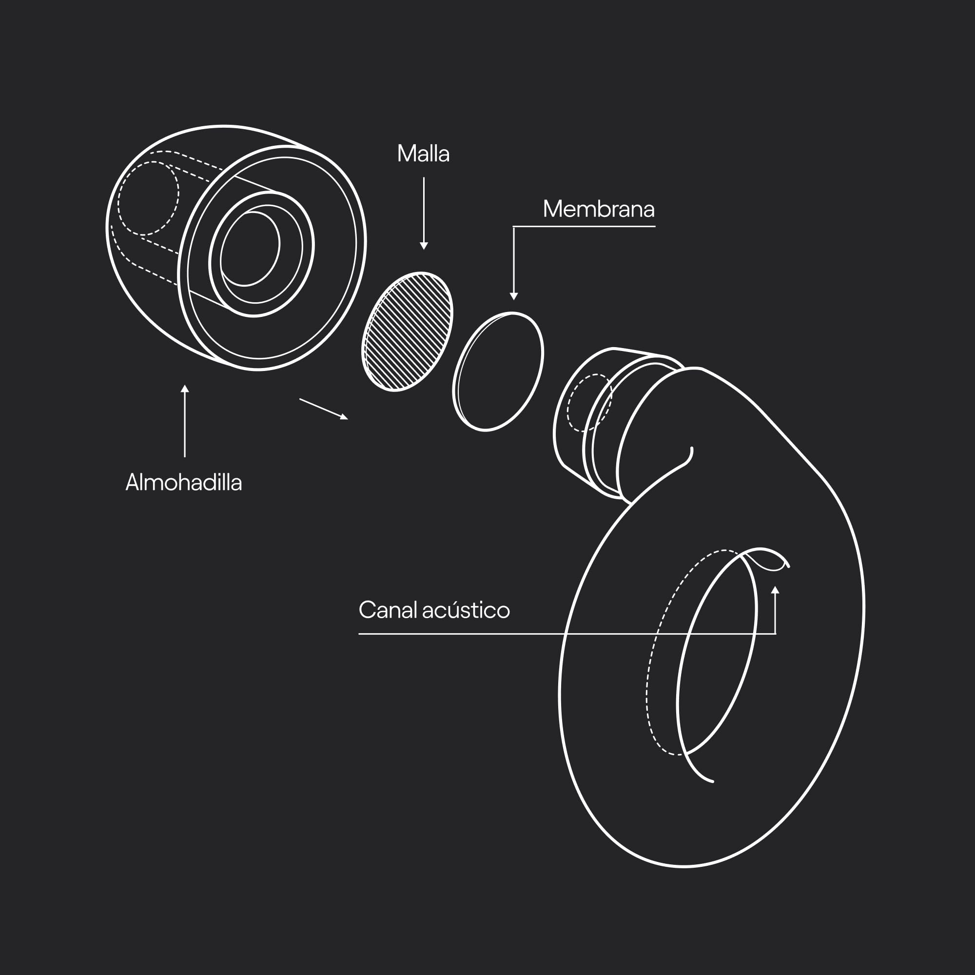 Loop Experience Equinox Tapones para los oídos, reutilizables, de alta fidelidad, protección auditiva colorida, para música y eventos, enfoque y sensibilidad al ruido, ajuste personalizable, reducción