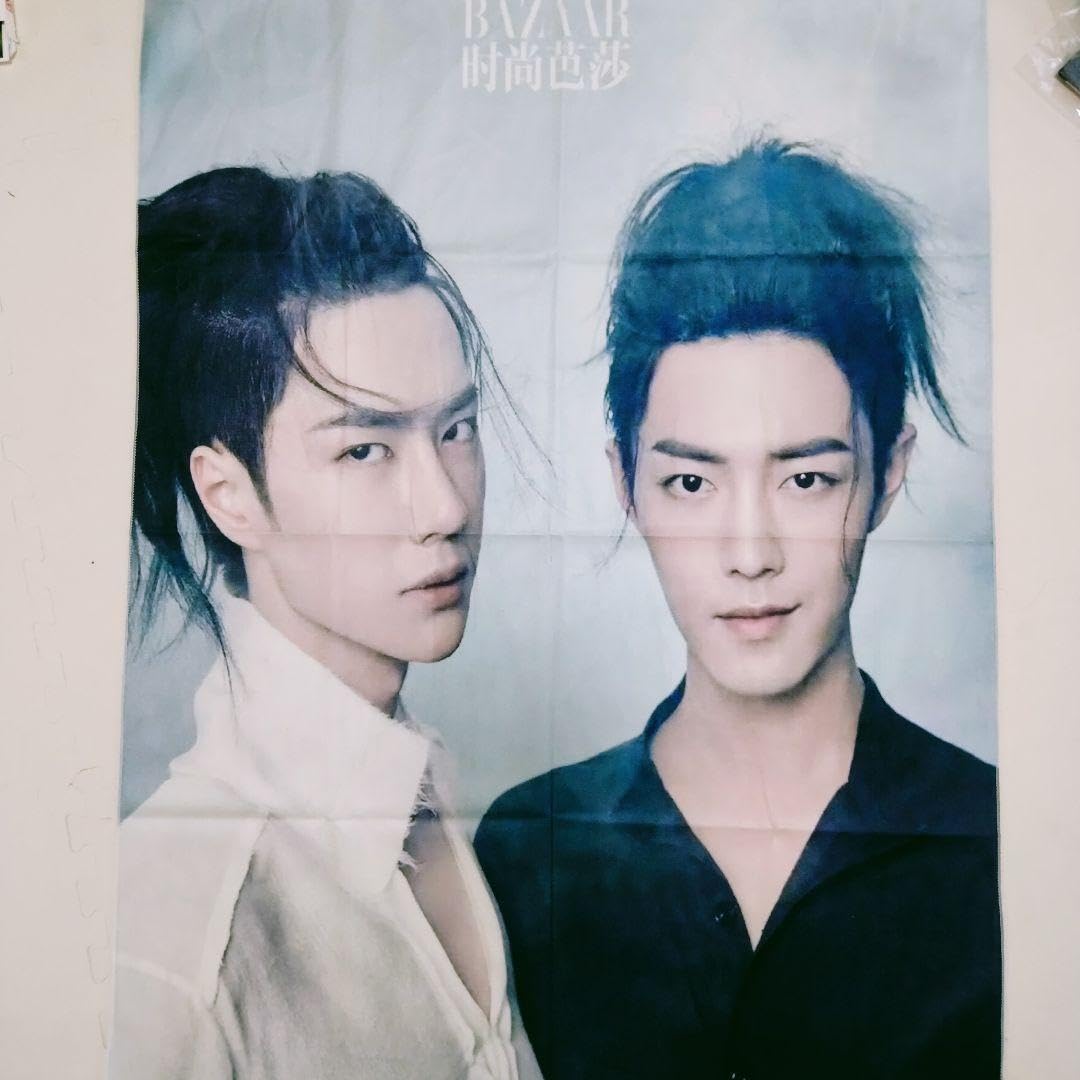 Amazon.co.jp: ③①陳情令 タペストリー 肖戦 王一博 肖战