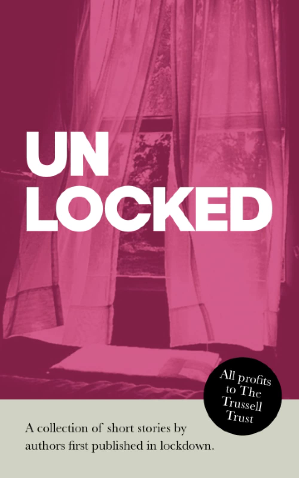 UnLocked: A captivating collection of short stories from the D20 Authors