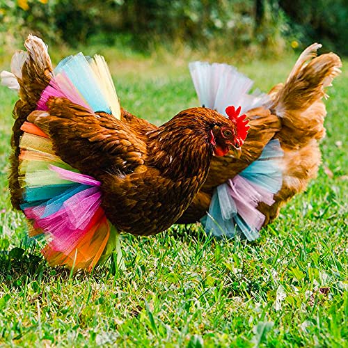 2 Pack Chicken Tutu Skirt Mesh Skirt Princess Dress Hen Decoration Feather Protector (Large: Colors May Vary) #TOP1