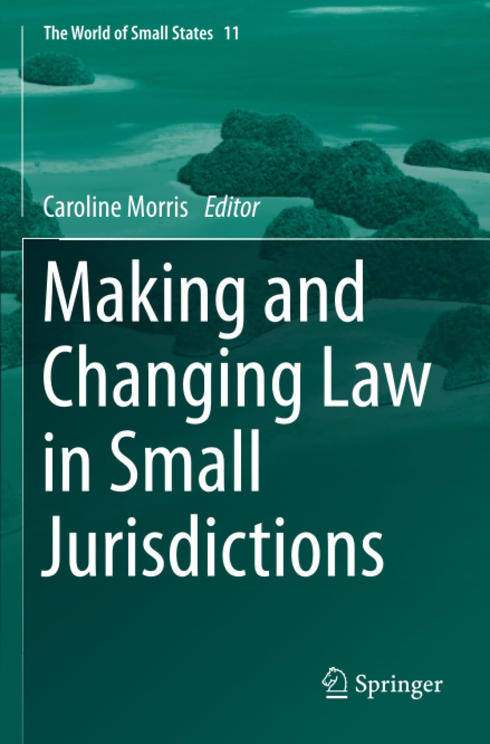 Making and Changing Law in Small Jurisdictions (The World of Small States)