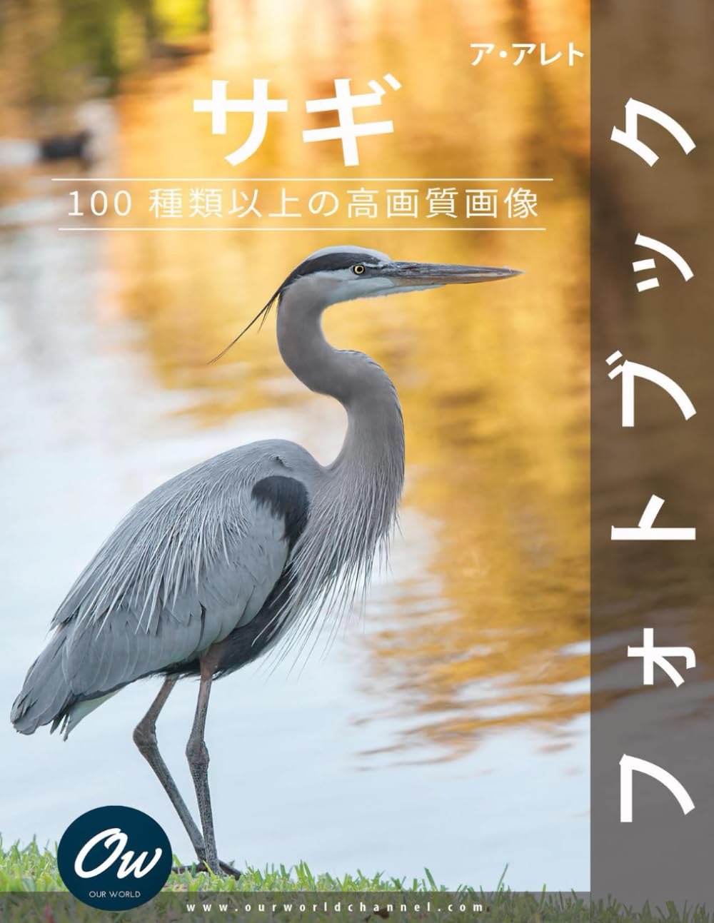 サギ: フォトブック : 100 種類以上の高画質画像 | Our World, A Arelt