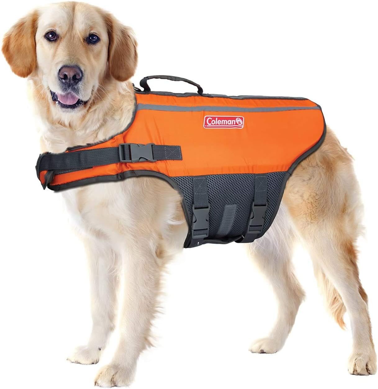 Anaconda dog life jacket Clearance