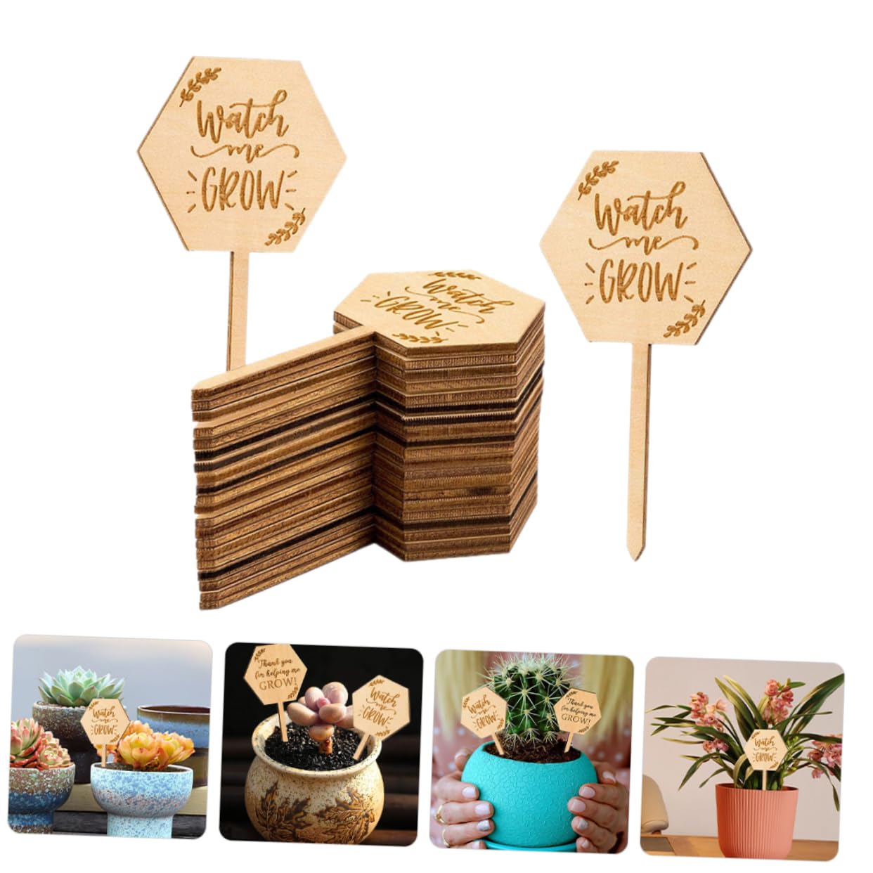 HANABASS 5 Ensembles Étiquettes Pour Plantes Marqueurs De Jardin Durables Pour Identifier Fleurs Plantes Pot Pour Magasins De Fleurs 40 Pièces * 5
