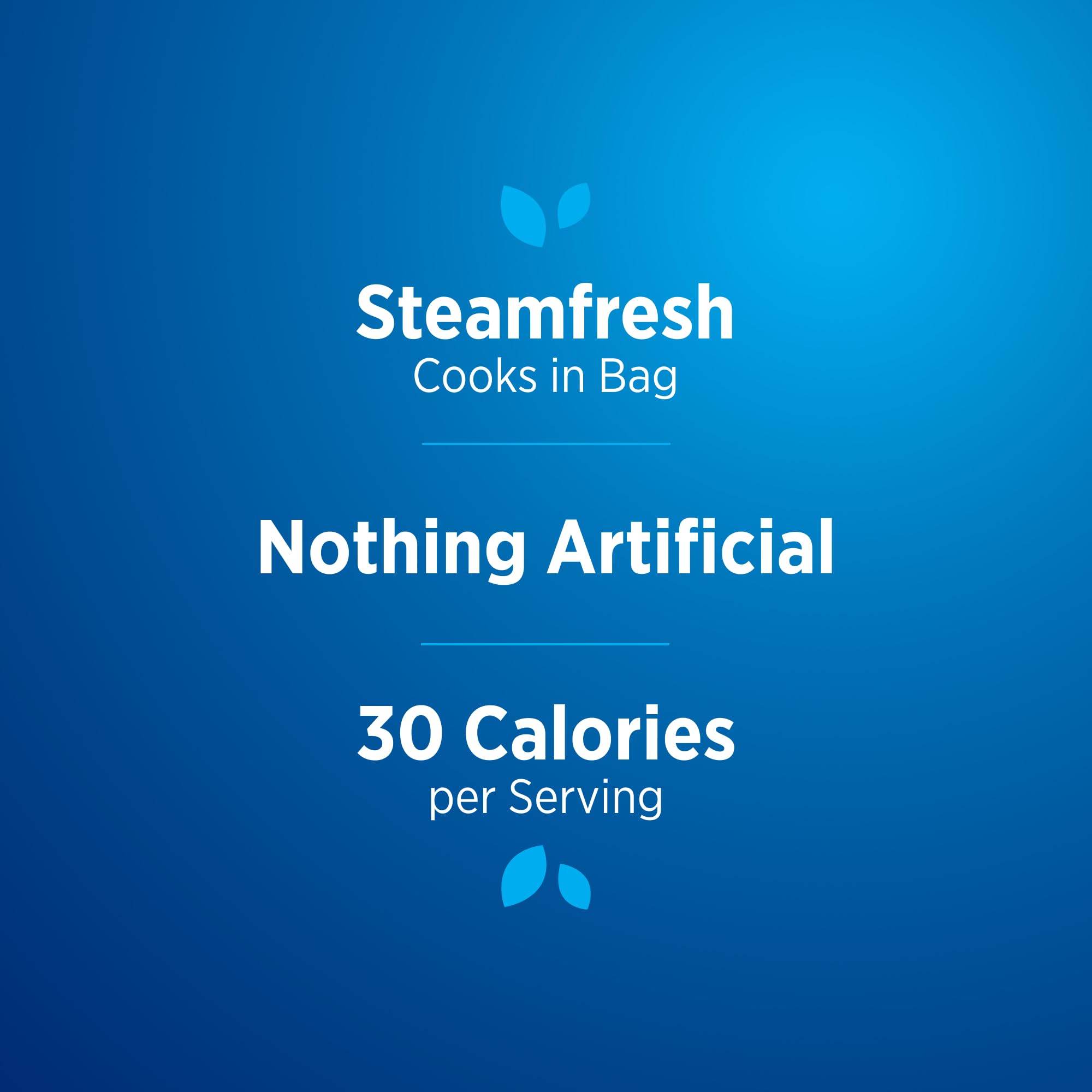 Birds Eye Steamfresh Broccoli Florets Frozen Vegetable 10 8 OZ — view 4