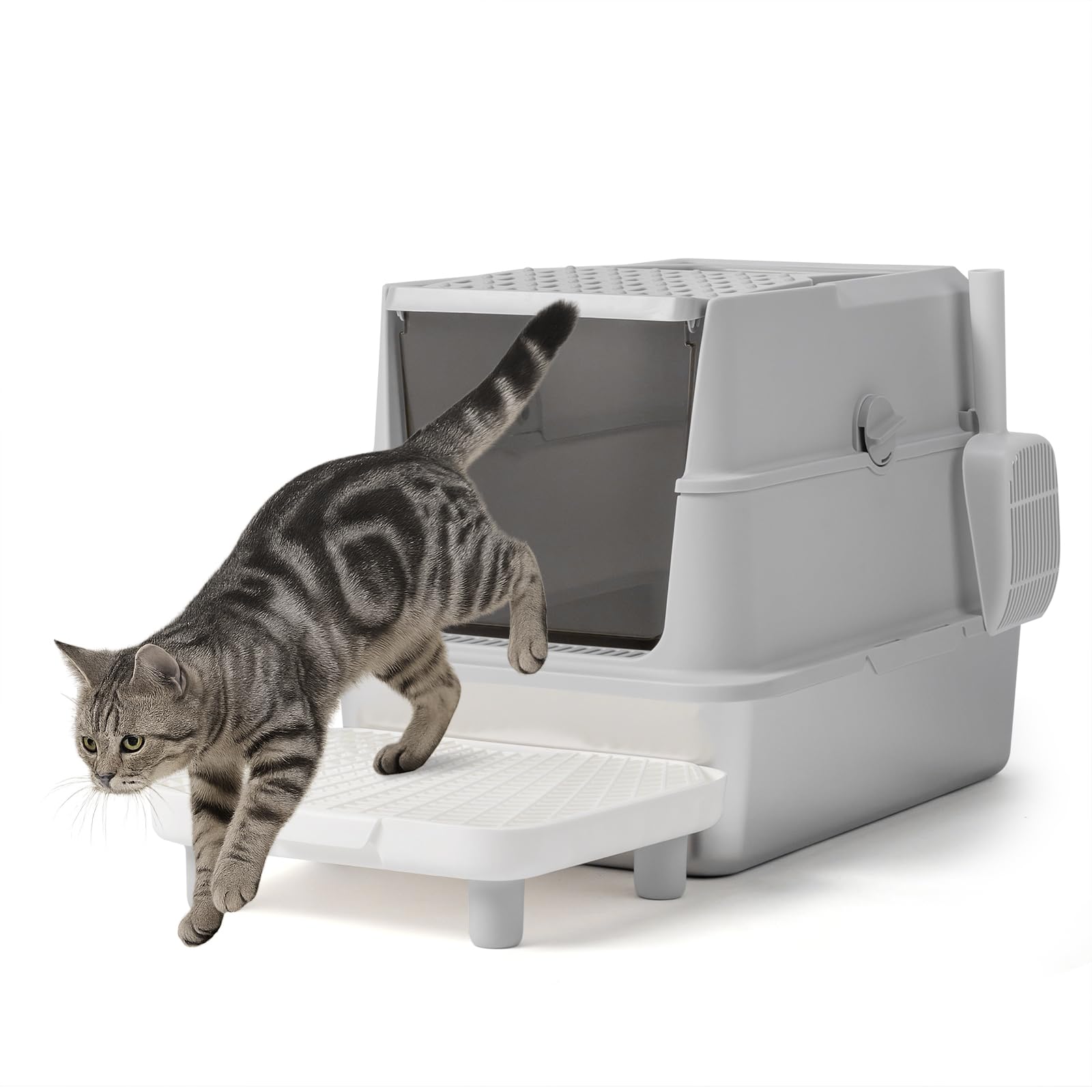 LEADZM Lettiera per gatti XXL - Casa di toilette per gatti chiuso, 60 x 40 x 46 cm, in acciaio inossidabile, coperchio rimovibile, paletta per lettiera e tappetino inclusi, colore: grigio
