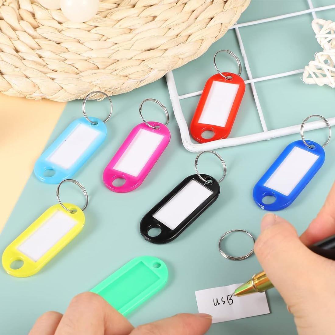 VIVIIHOO Portachiavi scrivibile, 100 pezzi, colore misto per scrivere, portachiavi per animali domestici e bagagli, in plastica con anelli portachiavi