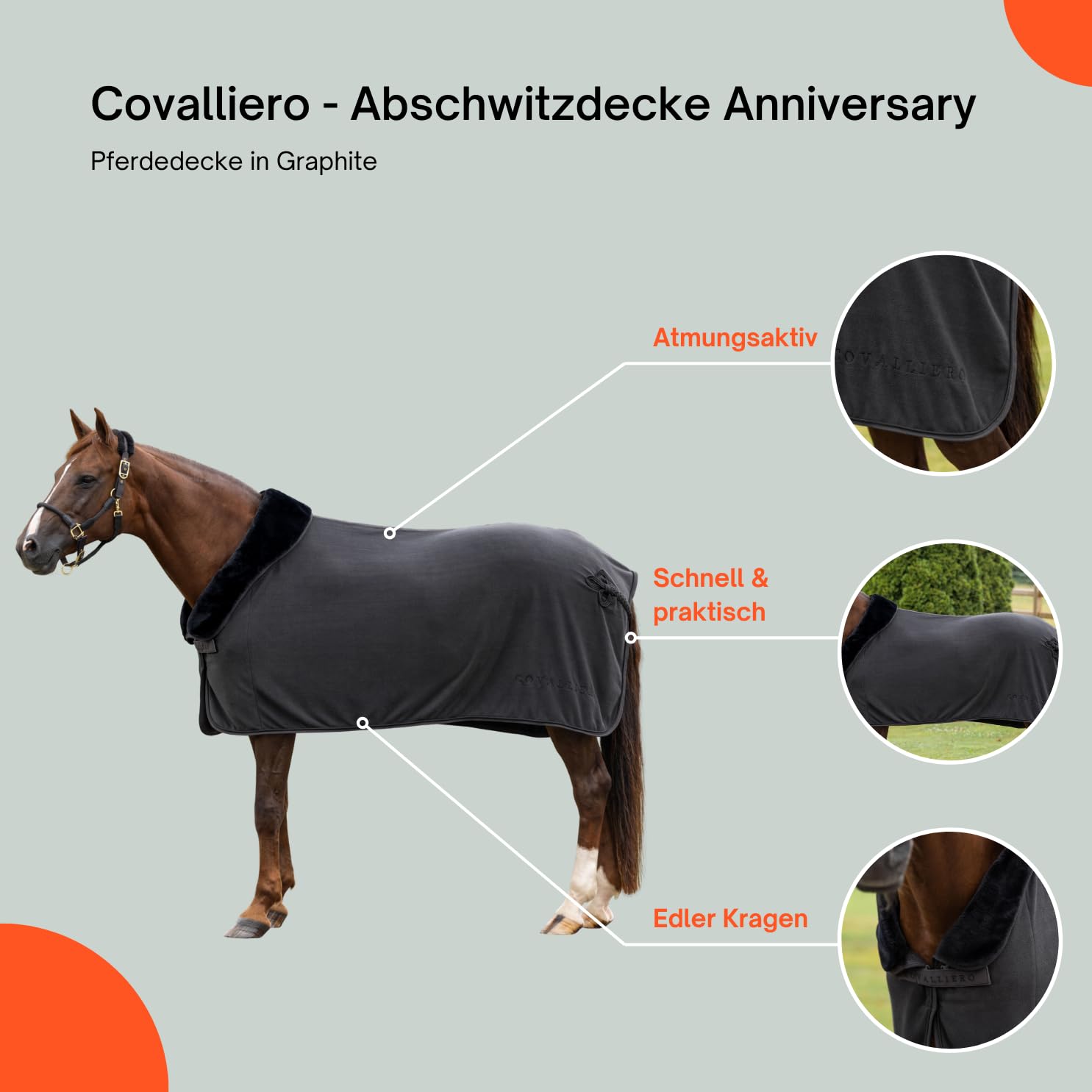 Covalliero - Abschwitzdecke Anniversary – Pferdedecke mit Teddy-Fleece-Kragen – atmungsaktive Fleecedecke – Elegante Pferde-Outdoordecke – Pferde Zubehör in Graphite – 155 cm