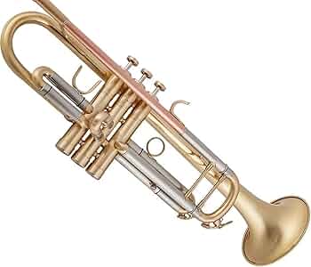 6119hhQctsL._AC_UF350,