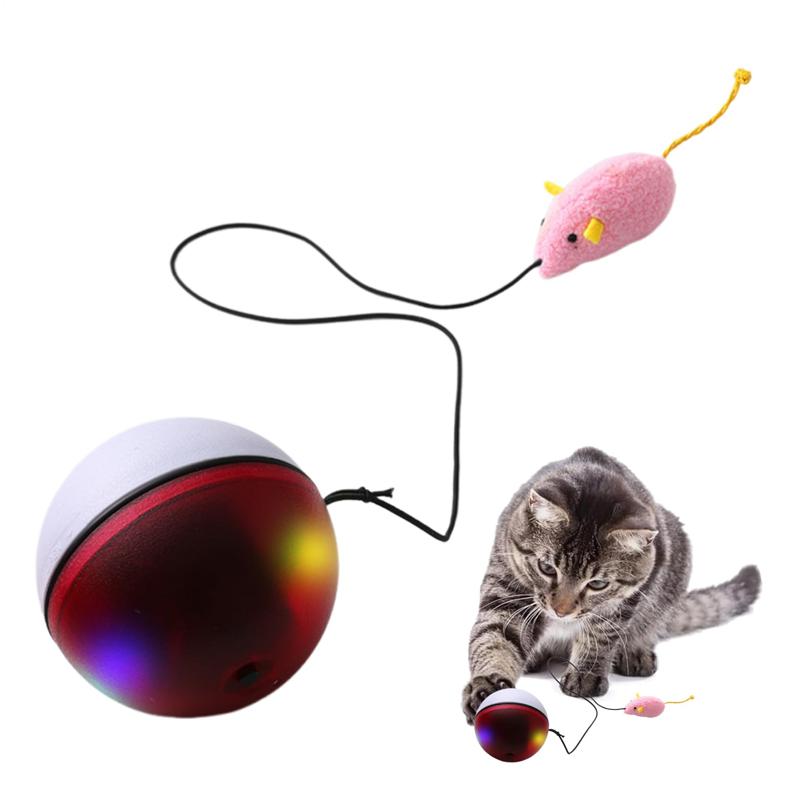 Jouet rotatif pour chats : la solution contre l'ennui des chatons à la maison