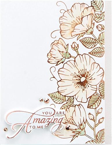 Miniatura 3 de SPELLBINDERS PAPERCRAFTS, INC Spellbinders Glimmer - Placa de lámina caliente de Becca Feeken-Sweet Blooms Border-Delicate Impressions, metal