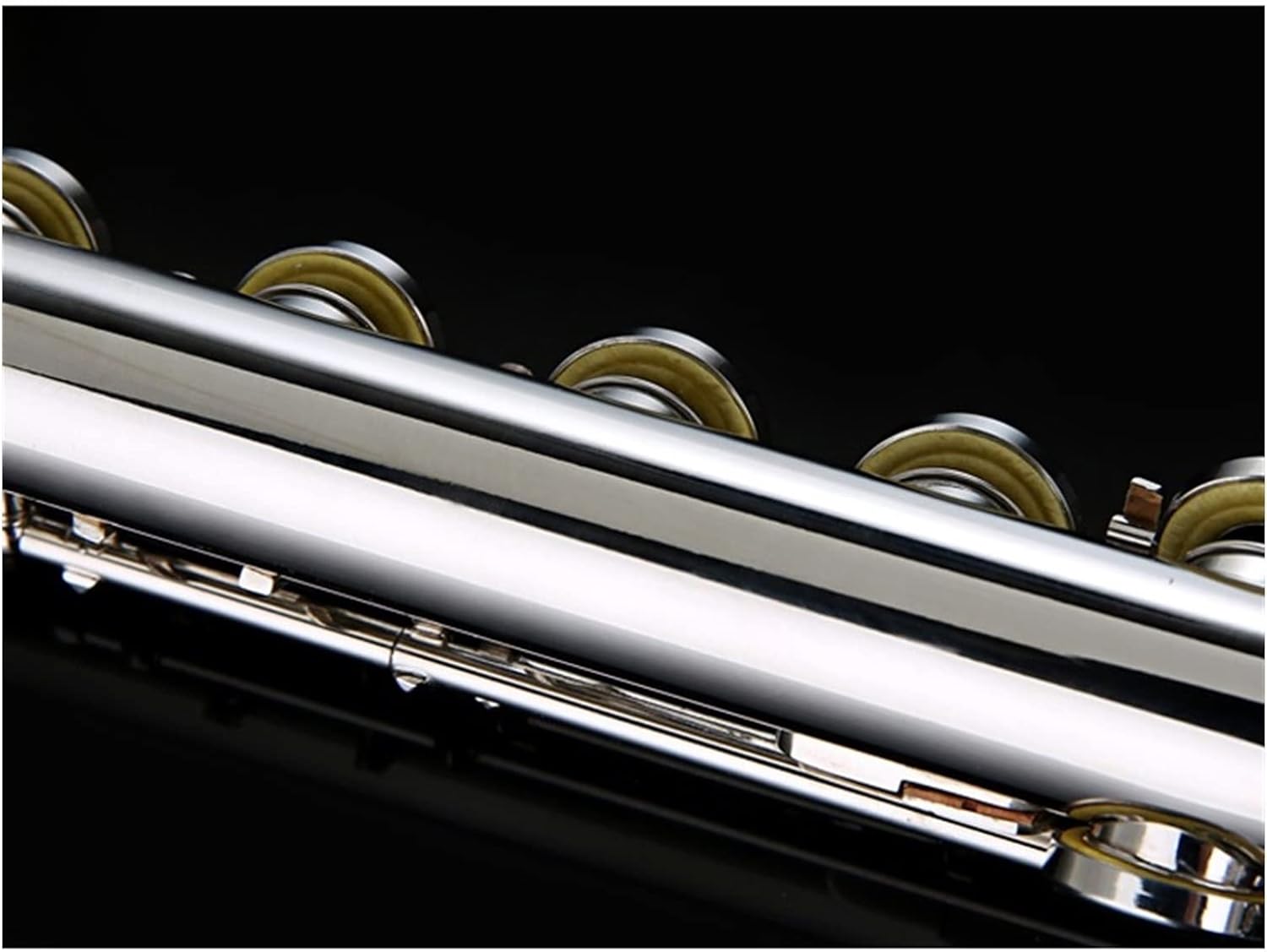 Zengxue フルート楽器 フルート16穴閉穴ニッケルメッキフルートインス