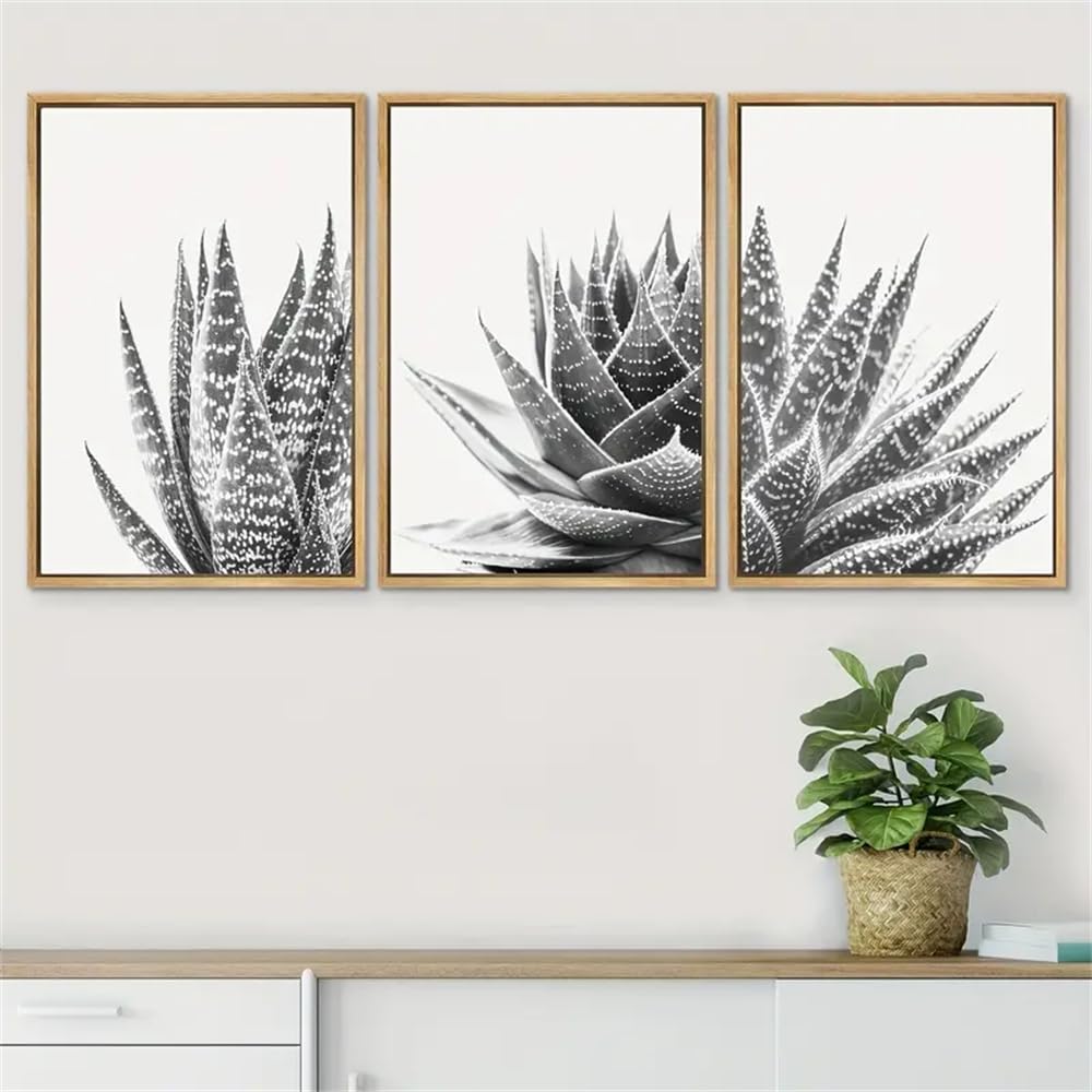 WBYZAC Wall Pictures-Canvas Poster, Modern Art, Succulents Floral Plants Photography, for Bedroom Living Room Corridor, Wall Art, Wall Decor, Room Decoration-30 * 50cm*3PCS (No Frame)