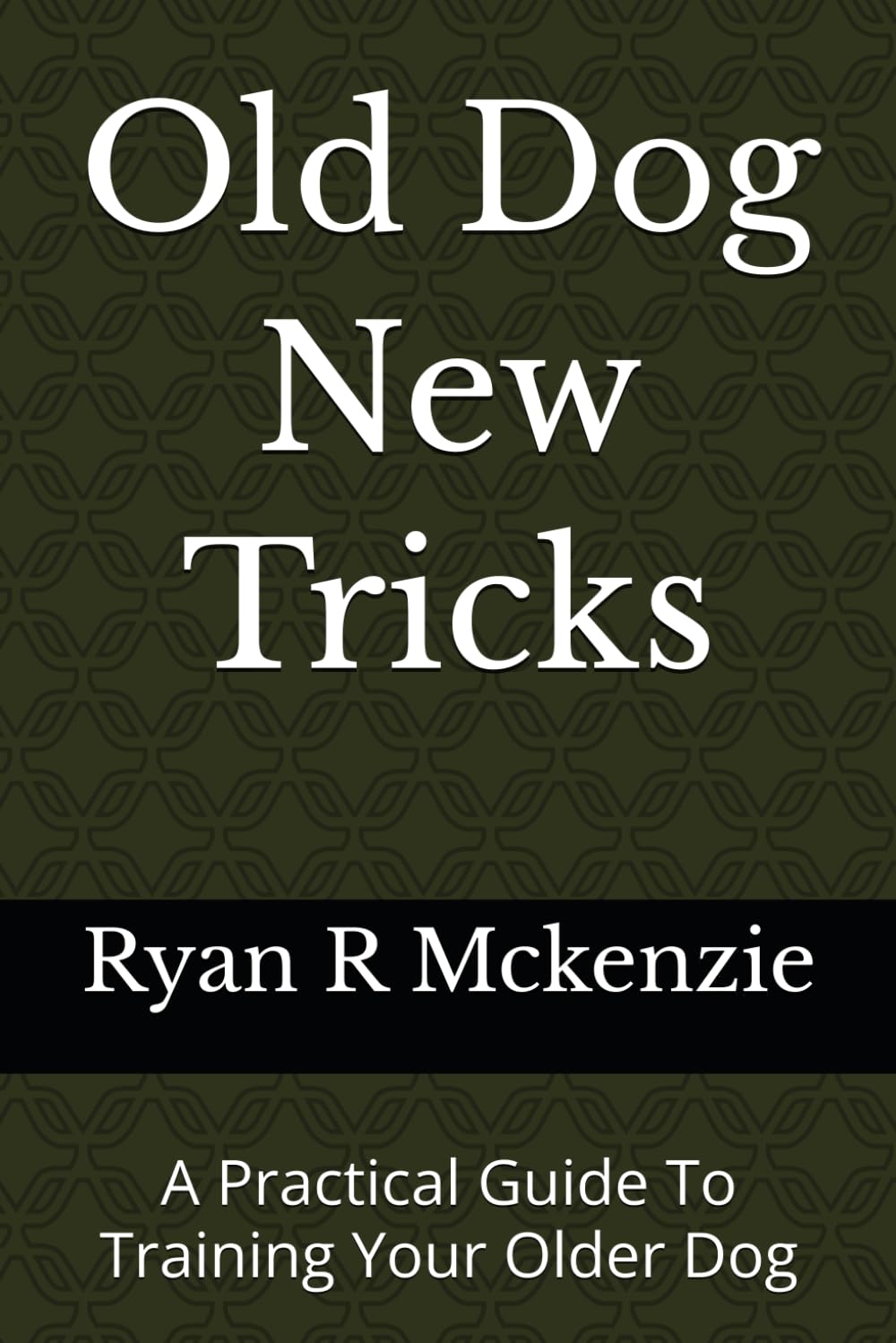 Old Dog New Tricks: A Practical Guide To Training Your Older Dog