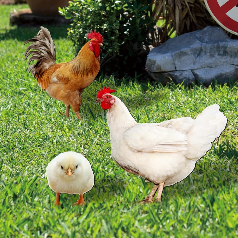 Image of balacoo Garden Chicken Stakes Decorative Rooster Hen Chicks Outdoor Yard Lawn Stakes Acrylic Double-Sided Realistic Chicken Decor