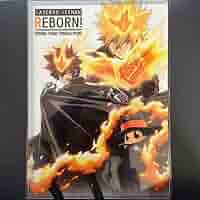 家庭教師ヒットマンREBORN！ A4クリアファイル 家庭教師ヒットマンREBORN! - 沢田綱吉 Ani-Art クリアファイル