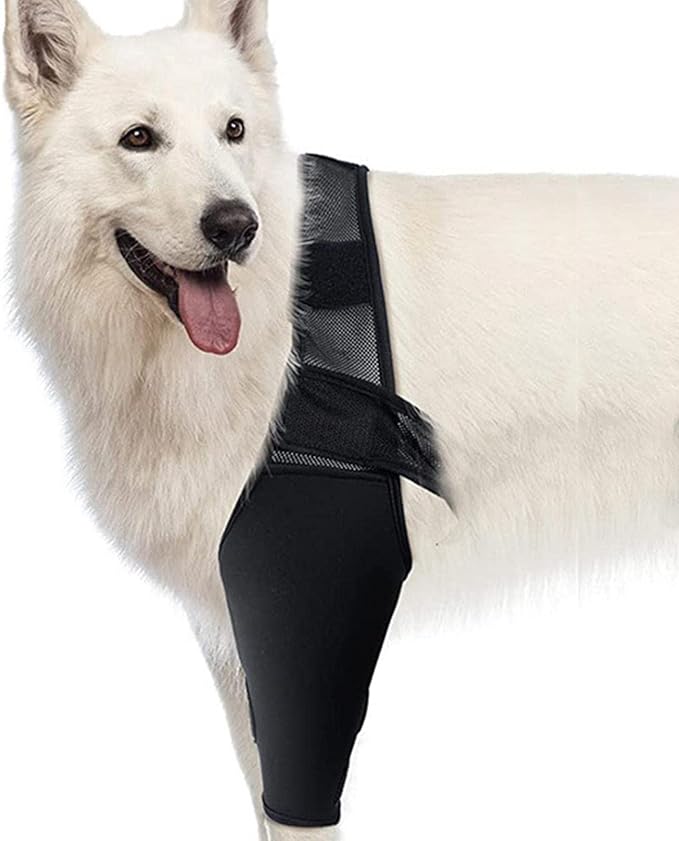 Virtcooy Attelle de Jambe arrière pour Chien Support de Jambe arrière pour Chiens Manchon de