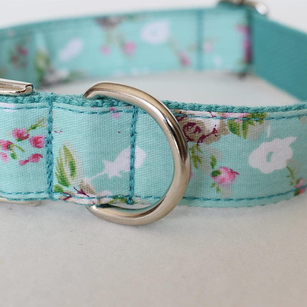 Correas y collares para mascotas Grabado personalizado Nombre y número de teléfono Juego de collar y correa de perro para perros grandes Bulldogs turquesa de servicio pesado-collar_leash_set_S_