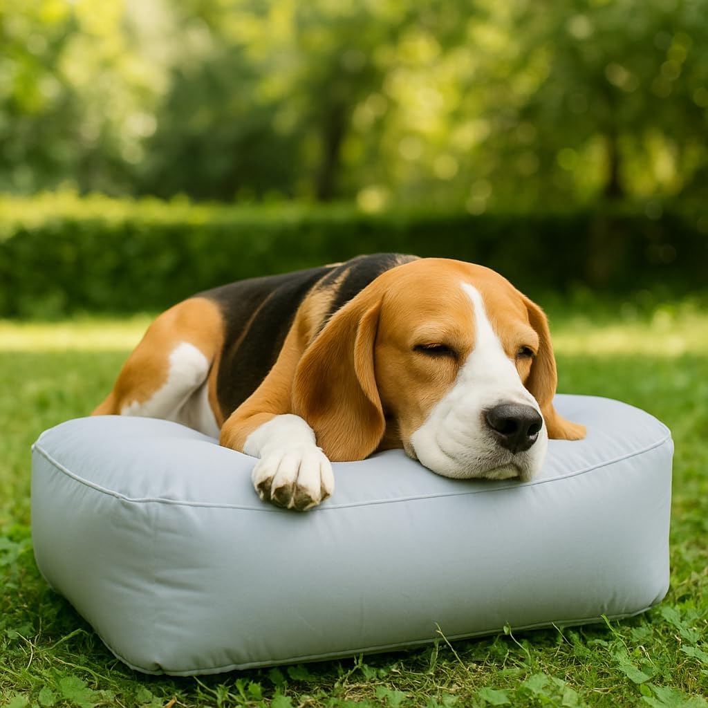 EVERYSH Pet Sofa, Folding Cushion, Suitable for Cars, bedrooms, and Living Rooms, Soft and Durable.