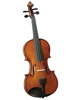 バイオリン ブラウン 611ADZIwAhL._UF350,350_QL50_.jpg