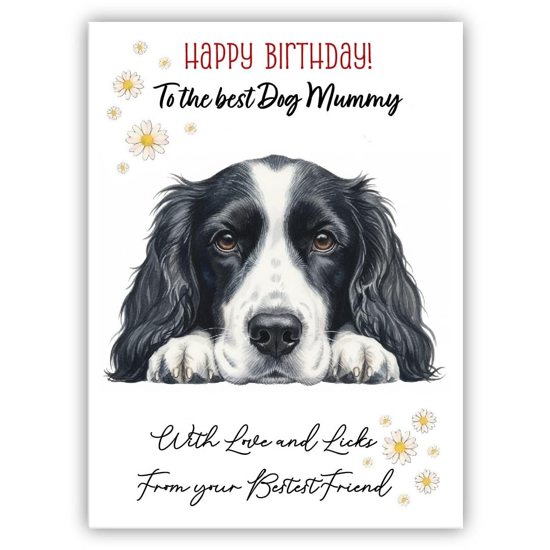 Birthday Card From the Dog to mum, mummy, mother – Multiple Breeds Available – Cute & Funny Pet Birthday Card – Dogs Lover Gift (• Black and white Spaniel)