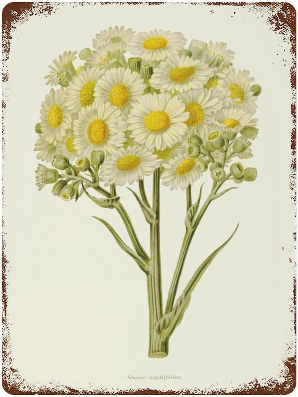 rayprint Yellow Daisies Metal Signs Beautiful Botanical Vintage Aluminum Poster Wildflowers Wall Decor Retro Plaque Funny Decoration for Home Kitchen Bar Garage Tin Signs 8x12inch