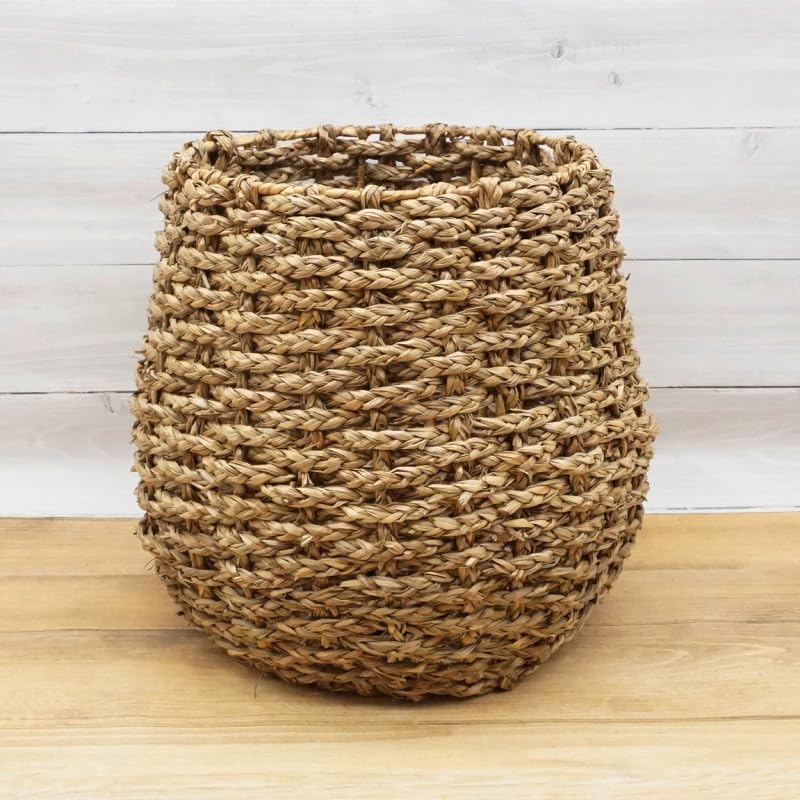 ティランジアペディセラタ ブルボーサタイニーダンサーセット