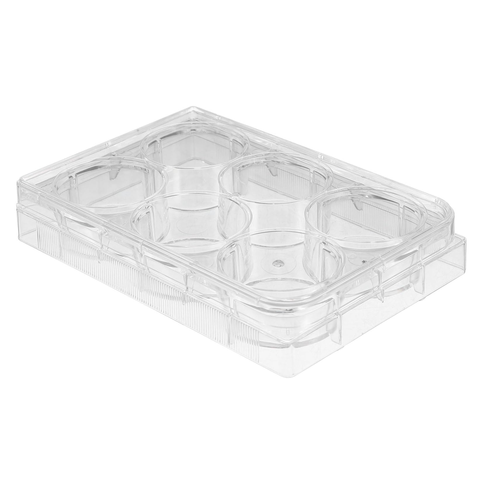 Ipetboom Laboratory Cell Culture Plate mit Deckel Einweg Gewebekulturplatte aus Robustem Material Anzuchtplatte für Präzise Zellkulturen im Laborgebrauch
