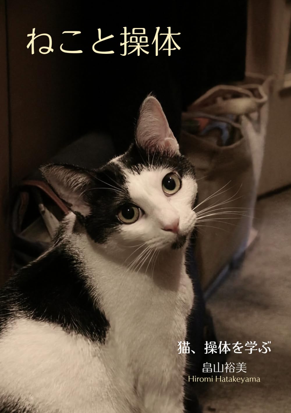 ねこと操体: 猫、操体を学ぶ
