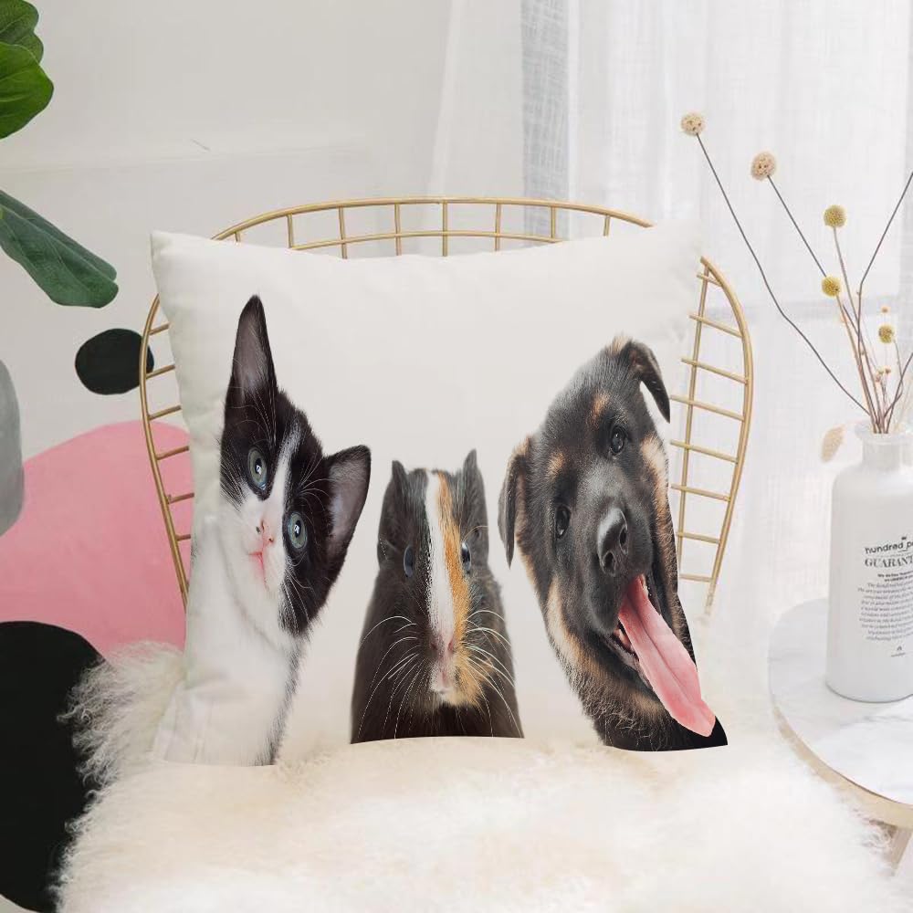 HYMSXW Cushion Cover,Throw Pillow Case Home Decorative for Living Room Bedroom Sofa Chair 20X20 Inch,kitten and puppy and guinea pig watching,Pillowcase 50X50cm