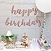 Famoby Rose Pink Glittery Happy Birthday Banner for Birthday Party Decorations