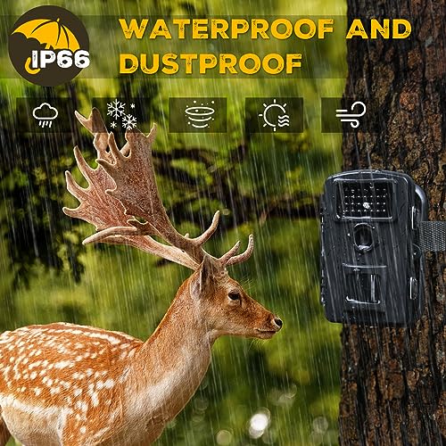 COOLIFE Jagdkamera, 28 MP, 1520P, HD, Auslösegeschwindigkeit 0,2 s und 27 Infrarot-LEDs, 940 nm,...